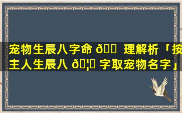 宠物生辰八字命 🐠 理解析「按主人生辰八 🦆 字取宠物名字」